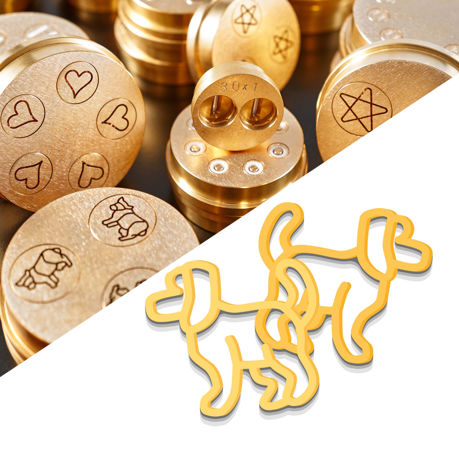 Hund-Matrize für TR 70