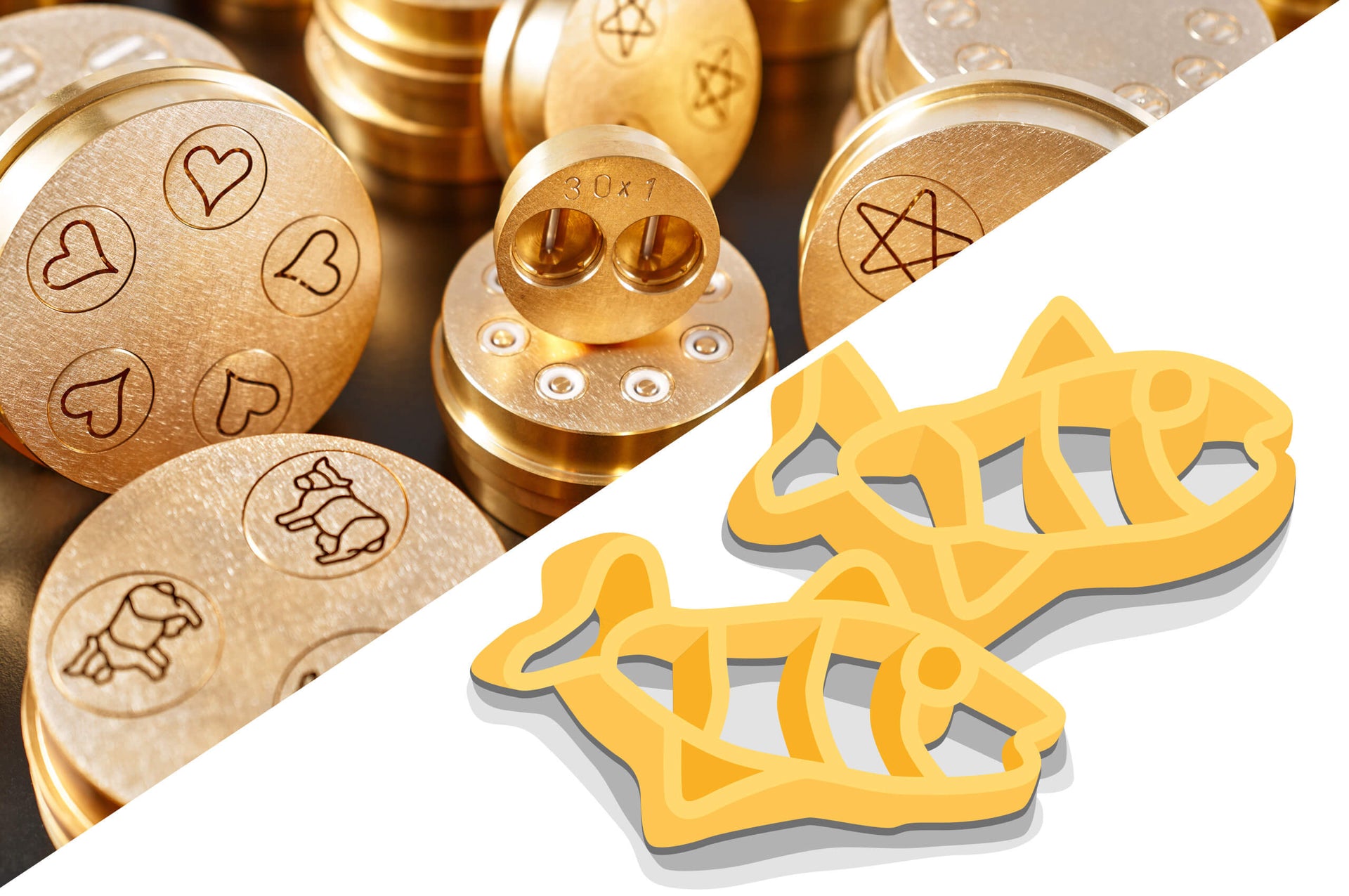 Fisch-Matrize für TR 110